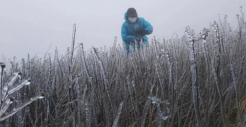 Đón không khí lạnh mạnh, miền Bắc rét nhiều ngày, có nơi dưới 5 độ C