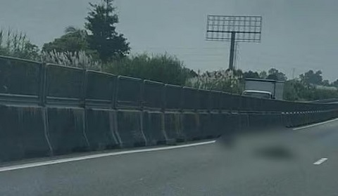 Phát hiện thi thể người nước ngoài trên đường cao tốc Trung Lương - Mỹ Thuận