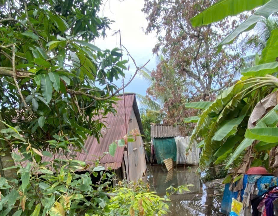 Hai mẹ con tại tỉnh Đồng Tháp tử vong do điện giật, hoàn cảnh rất khó khăn