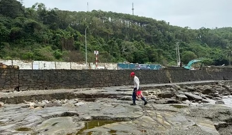 Hải Phòng: Khắc phục tình trạng sạt lở bờ kè biển ở phường Đồ Sơn