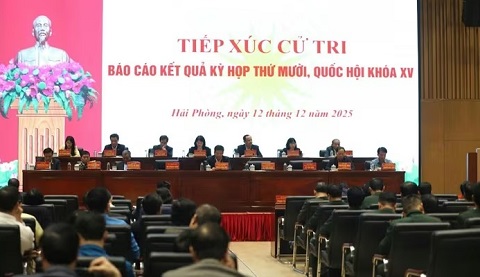 Cử tri Hải Phòng lo ngại tình trạng 'bắt cóc online'