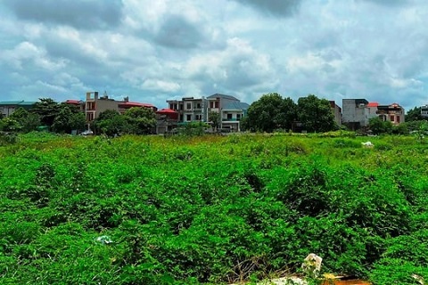 Hải Phòng: Giao đất thực hiện Dự án đầu tư xây dựng Khu dân cư, dịch vụ thương mại tại phường Thanh Bình