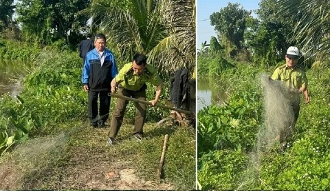 Ngăn chặn tình trạng săn bắt chim hoang dã, chim di cư trái phép