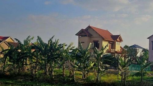 Tổ dân phố cho cựu bí thư xã thuê đất giá 500.000 đồng/năm, quy định cho thuê đất công ra sao?