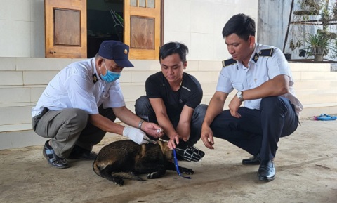 Thêm một trường hợp tử vong nghi do bệnh dại tại tỉnh Đắk Lắk