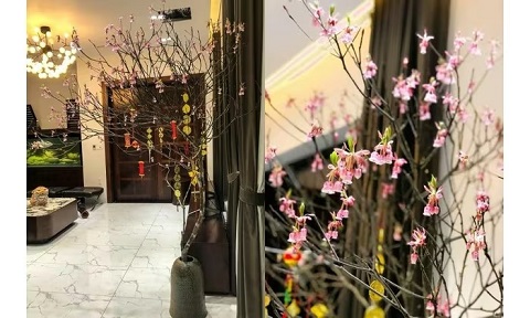 Vì sao lại chưng hoa đào ngày Tết?