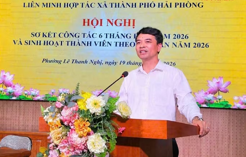 Hợp tác xã Hải Phòng kiến nghị tháo gỡ vướng mắc sau hợp nhất