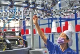 GDP quý III/2023 ước tính tăng 5,33%