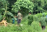 Đi lấy măng, người đàn ông nghi bị voi rừng quật chết