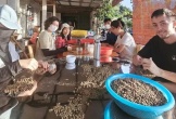 Doanh nghiệp xuất khẩu vướng hoàn thuế GTGT
