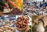 Đề xuất sửa quy định thuế GTGT lĩnh vực nông nghiệp, thức ăn chăn nuôi