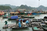 Hải Phòng cấm một số hoạt động trên khu vực cửa sông, biển để phòng, chống bão số 11