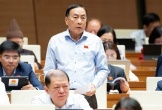 Đại biểu Quốc hội nêu vụ việc 