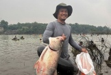 Bắt cá 'khủng' 30 kg khi thủy điện lớn nhất miền Nam đóng đập xả tràn