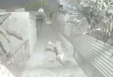 Một gia đình ở TPHCM bị người đàn ông 'khủng bố', liên tục ném gạch vào nhà