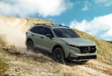 Honda CR-V có thêm phiên bản địa hình