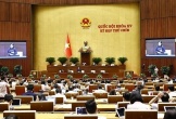 Ngày 22/5, Quốc hội thảo luận Nghị quyết về miễn học phí tại các cơ sở giáo dục