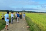 Hà Tĩnh: 2 người bị s/é/t đ/á/n/h t/ử v//on/g