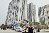 Hải Phòng kiên quyết thu hồi căn hộ chung cư với trường hợp vi phạm sử dụng tài sản công