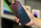 Bán tới 2 triệu iPhone/năm, Apple có lý do đưa Việt Nam lên hạng 1