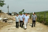 Hải Phòng tạm dừng chuyển đổi mục đích đất sang đất ở trước khi sáp nhập với Hải Dương