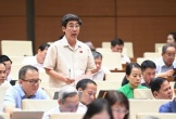 Hải Phòng: Thu hồi đất để sớm hình thành những trung tâm logistics quy mô lớn