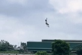 Video bé trai bị diều cuốn bay lơ lửng trên không trung, cư dân mạng thót tim trước cảnh tượng 