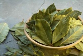 Loại lá dân dã ở Việt Nam lại có giá 2 triệu đồng/kg ở Mỹ: Là dược liệu quý, tiềm năng phòng ung thư