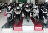 Lệ phí trước bạ xe máy giảm về 2% trên toàn quốc, có mẫu được giảm giá lăn bánh hàng chục triệu
