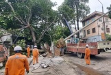 Hơn 200.000 khách hàng tại Hải Phòng bị mất điện do ảnh hưởng của bão Wipha