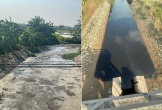  Người dân phản ánh trại lợn gây ô nhiễm, chính quyền vào cuộc