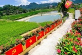 Con đường 40 m rực màu cờ đỏ ở Nghệ An gây sốt