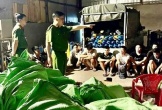 Triệt phá đường dây mua bán 'khí cười' số lượng lớn, tạm giữ 18 đối tượng
