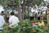 Điện giật, 5 người trong gia đình tử vong trên cánh đồng