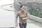 Người phụ nữ ở Ninh Bình mất tích bí ẩn khi vào rừng bắt ốc