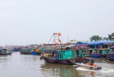 Hải Phòng: Cấm biển, dừng phà Đồng Bài - Cái Viềng để ứng phó với bão số 5