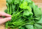 Rau xưa người Việt cho lợn ăn, nay lên bàn tiệc ở nước ngoài, hơn 1 triệu/kg
