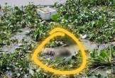 Phát hiện thi thể trôi nổi dưới sông Bảo Định chưa rõ danh tính