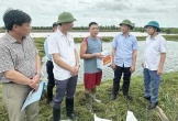Chủ tịch TP Hải Phòng chỉ đạo khẩn trương khắc phục hậu quả bão và dông lốc