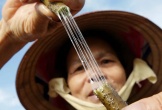 Thứ Việt Nam từng coi là phế phẩm bỏ đi: Trở thành mặt hàng quý hiếm, đắt đỏ bậc nhất thế giới, 1m tới 30 triệu đồng