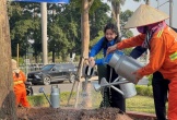 Hải Phòng phát động trồng cây hưởng ứng Ngày cây xanh Việt Nam 2026