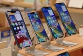 Bạn có thể đã dùng iPhone sai suốt nhiều năm vì những lầm tưởng này