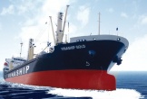 Hải Phòng: Đấu giá tàu chở hàng khô Vinaship Gold trọng tải hơn 13.000 DWT