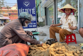 Người phụ nữ bán khoai trước cổng viện và câu chuyện khiến ai cũng nghẹn lòng