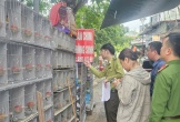 Phát hiện ba trường hợp nuôi nhốt gần 1.000 chim hoang dã ở Hải Phòng