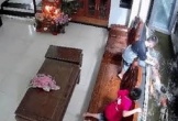 Con trai vừa nghỉ hè đã làm chết nguyên đàn cá Koi 17 con của bố