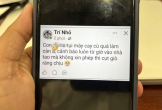 Liên tục né kiểm tra, một thanh niên lên mạng 