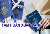 Hải Phòng tạm hoãn xuất cảnh với 228 trường hợp nợ thuế