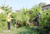Hải Phòng thu hồi hơn 5.000m2 đất phục vụ dự án xây dựng điểm dân cư mới