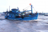 Hải Phòng dỡ lệnh cấm biển sau khi bão số 1 suy yếu
